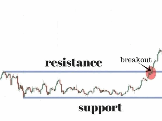 support005.gif