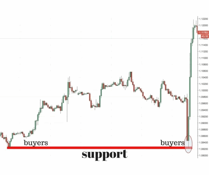 support001.gif