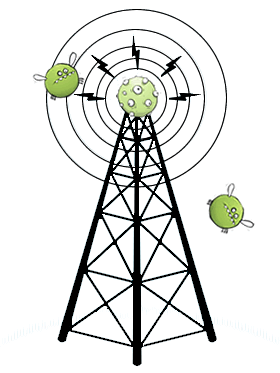 senior-signal.png