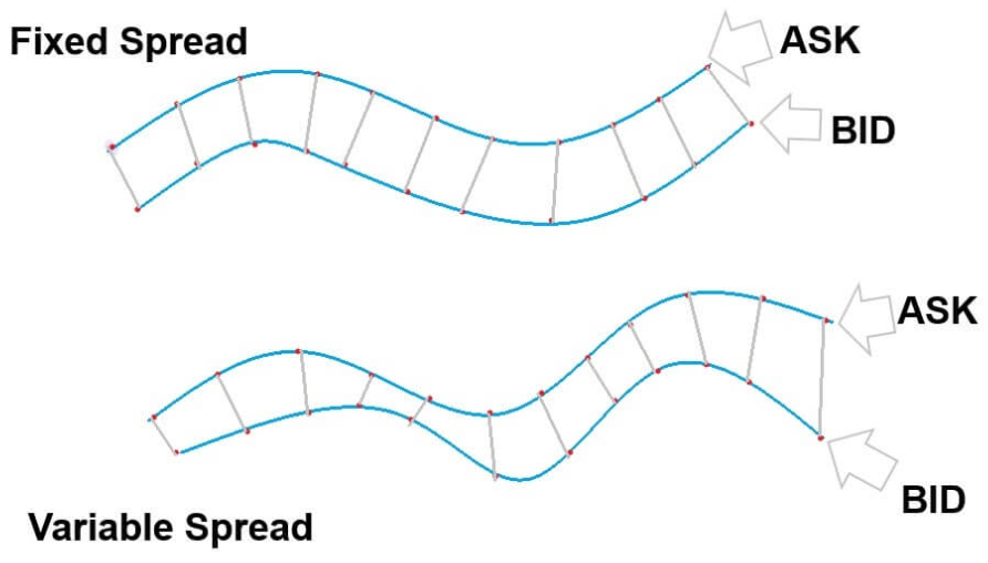 spread-2.png