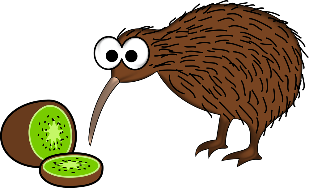 new-zealand-kiwi.png