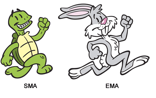 grade4-hare-toirtoise.png