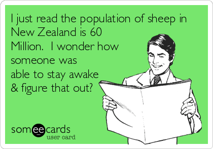 new-zealand-shieep.png