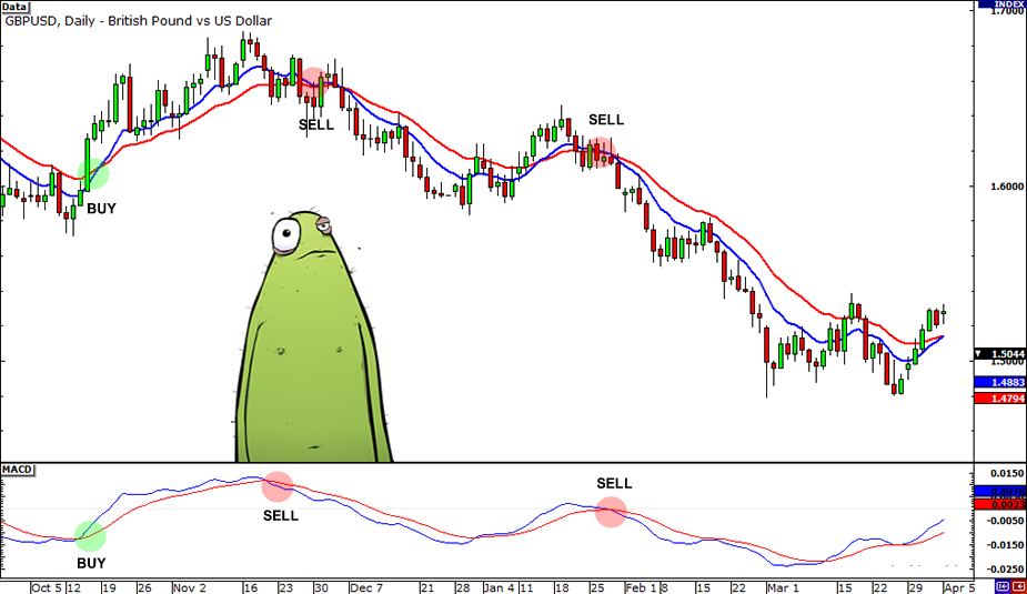 grade6-momentum-indicators-right2.png